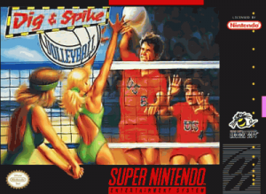 Dig & Spike Volleyball ROM