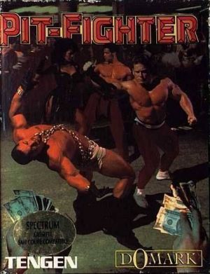 Pit-Fighter (1991)(Domark)[h] ROM